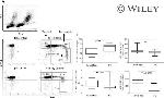 CD16 Antibody in Flow Cytometry (Flow)