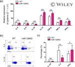 IL-17A Antibody in Flow Cytometry (Flow)