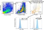 CD11c Antibody in Flow Cytometry (Flow)