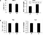 ROR gamma (t) Antibody in Flow Cytometry (Flow)