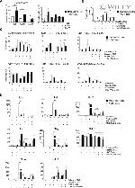 T-bet Antibody in Flow Cytometry (Flow)