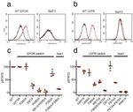 Phospho-STAT3 (Tyr705) Antibody in Flow Cytometry (Flow)