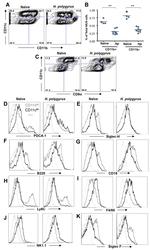 F4/80 Antibody in Flow Cytometry (Flow)