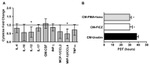 IL-10 Antibody in ELISA (ELISA)