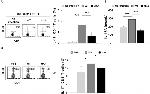 IL-17A Antibody in Flow Cytometry (Flow)