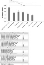 VEGF Antibody in Immunohistochemistry (IHC)