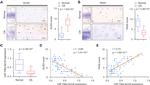 PAX5 Antibody in Immunohistochemistry (IHC)