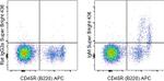 IgM Antibody in Flow Cytometry (Flow)