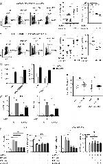 TSLP Antibody in Neutralization (Neu)