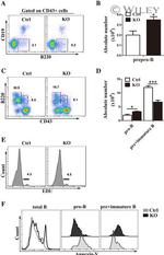 CD43 Antibody in Flow Cytometry (Flow)