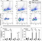 ROR gamma (t) Antibody in Flow Cytometry (Flow)