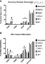 CD83 Antibody in Flow Cytometry (Flow)