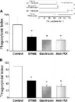 PDI Antibody in Neutralization (Neu)