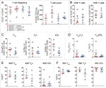 Ki-67 Antibody in Flow Cytometry (Flow)