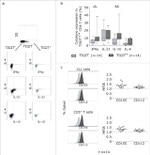 CD155 Antibody in Flow Cytometry (Flow)