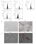 CD90.1 (Thy-1.1) Antibody in Flow Cytometry (Flow)