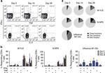 CD8a Antibody in Flow Cytometry (Flow)