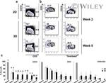 CD3 Antibody in Flow Cytometry (Flow)