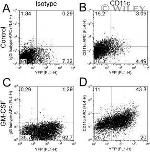 CD11c Antibody in Flow Cytometry (Flow)