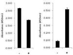 Human NFkB p65 (Total/Phospho) InstantOne™ ELISA Kit