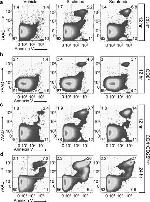 CD4 Antibody in Flow Cytometry (Flow)