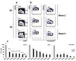 CD3 Antibody in Flow Cytometry (Flow)