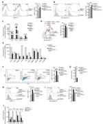 TNF alpha Antibody in Flow Cytometry, Neutralization (Flow, Neu)