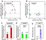 Glucocorticoid Receptor Antibody in ChIP Assay (ChIP)