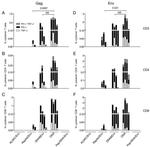 CD8 Antibody in Flow Cytometry (Flow)