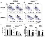 CD8 alpha Antibody in Flow Cytometry (Flow)