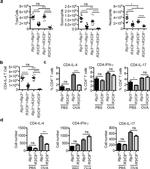 IL-17A Antibody in Flow Cytometry (Flow)