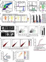 CD326 (EpCAM) Antibody in Flow Cytometry (Flow)