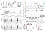 CD90.1 (Thy-1.1) Antibody in Flow Cytometry (Flow)