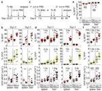 CD90.1 (Thy-1.1) Antibody in Flow Cytometry (Flow)