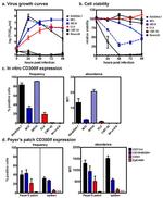 CD3e Antibody in Flow Cytometry (Flow)