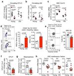 Ki-67 Antibody in Flow Cytometry (Flow)