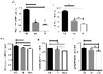 FOXP3 Antibody in Flow Cytometry (Flow)