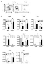 CD150 Antibody in Flow Cytometry (Flow)