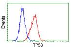 p53 Antibody in Flow Cytometry (Flow)