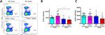 CD8 alpha Antibody in Flow Cytometry (Flow)