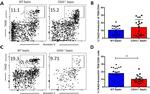 CD8 alpha Antibody in Flow Cytometry (Flow)