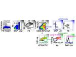 Pan Cytokeratin Antibody in Flow Cytometry (Flow)