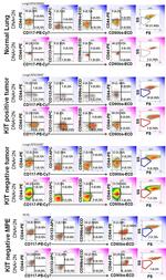 Pan Cytokeratin Antibody in Flow Cytometry (Flow)