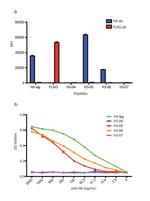 HA Tag Antibody in ELISA (ELISA)