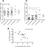 CD4 Antibody in Flow Cytometry (Flow)