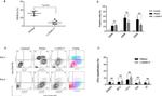 CD59 Antibody in Flow Cytometry (Flow)