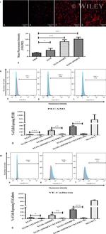 CD144 (VE-cadherin) Antibody in Flow Cytometry (Flow)