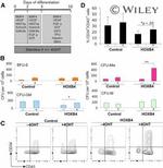 CD43 Antibody in Flow Cytometry (Flow)