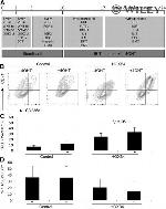 CD71 (Transferrin Receptor) Antibody in Flow Cytometry (Flow)