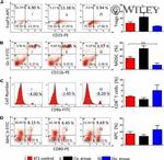 CD80 (B7-1) Antibody in Flow Cytometry (Flow)